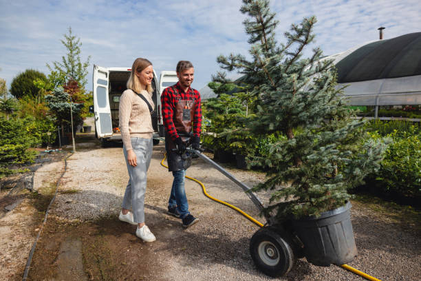 Best Tree Maintenance Programs  in Browntown, PA